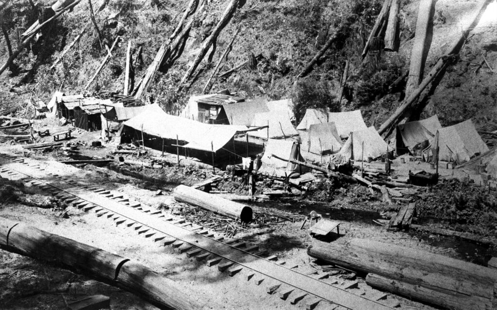 Tents for Chinese railroad workers in Aptos Canyon around 1890