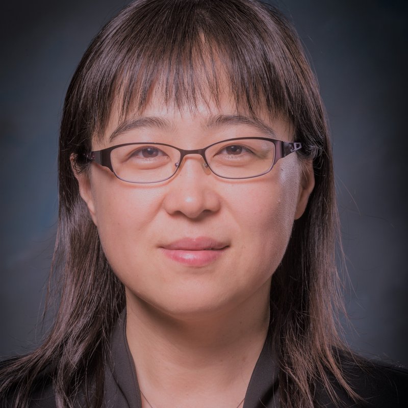 Xiaohong (Iris) Quan